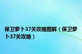 保卫萝卜37关攻略图解（保卫萝卜37关攻略）