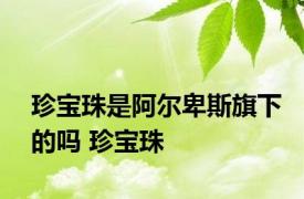 珍宝珠是阿尔卑斯旗下的吗 珍宝珠 