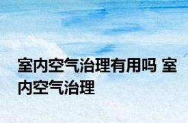 室内空气治理有用吗 室内空气治理 