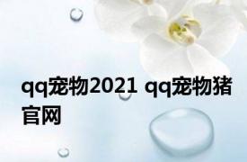 qq宠物2021 qq宠物猪官网 