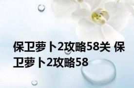 保卫萝卜2攻略58关 保卫萝卜2攻略58 