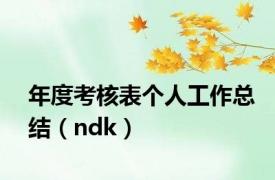 年度考核表个人工作总结（ndk）