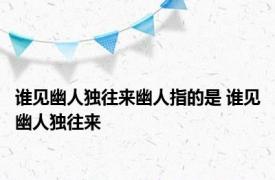 谁见幽人独往来幽人指的是 谁见幽人独往来 