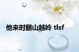 他来时翻山越岭 tlsf 