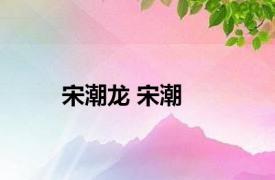 宋潮龙 宋潮 