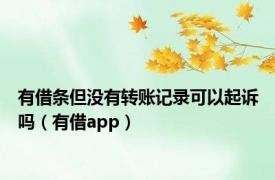 有借条但没有转账记录可以起诉吗（有借app）