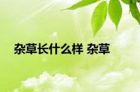 杂草长什么样 杂草 