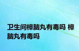 卫生间樟脑丸有毒吗 樟脑丸有毒吗 