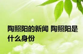 陶照阳的新闻 陶照阳是什么身份 