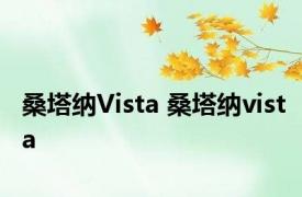 桑塔纳Vista 桑塔纳vista 