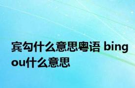 宾勾什么意思粤语 bingou什么意思 