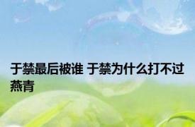 于禁最后被谁 于禁为什么打不过燕青 