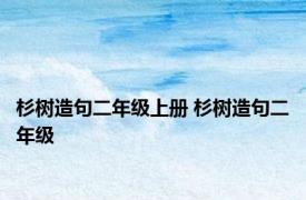 杉树造句二年级上册 杉树造句二年级 