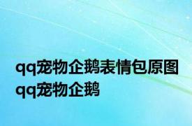 qq宠物企鹅表情包原图 qq宠物企鹅 