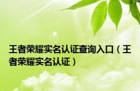 王者荣耀实名认证查询入口（王者荣耀实名认证）