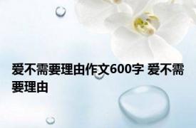 爱不需要理由作文600字 爱不需要理由 