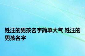 姓汪的男孩名字简单大气 姓汪的男孩名字 