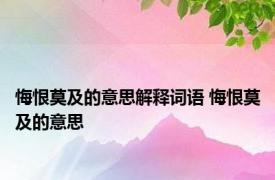 悔恨莫及的意思解释词语 悔恨莫及的意思 