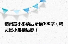 精灵鼠小弟读后感悟100字（精灵鼠小弟读后感）