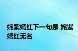 姹紫嫣红下一句是 姹紫嫣红无名 