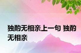 独酌无相亲上一句 独酌无相亲 