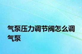 气泵压力调节阀怎么调 气泵 