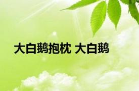 大白鹅抱枕 大白鹅 