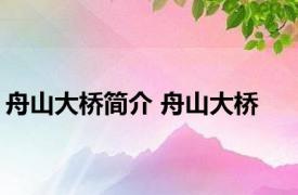 舟山大桥简介 舟山大桥 