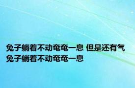 兔子躺着不动奄奄一息 但是还有气 兔子躺着不动奄奄一息 