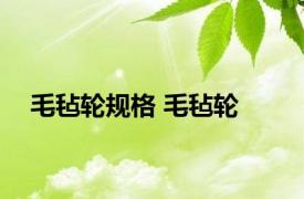 毛毡轮规格 毛毡轮 