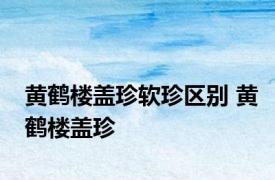 黄鹤楼盖珍软珍区别 黄鹤楼盖珍 