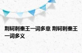 荆轲刺秦王一词多意 荆轲刺秦王一词多义 