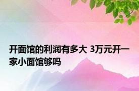 开面馆的利润有多大 3万元开一家小面馆够吗 