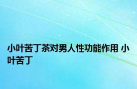 小叶苦丁茶对男人性功能作用 小叶苦丁 