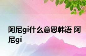 阿尼gi什么意思韩语 阿尼gi 