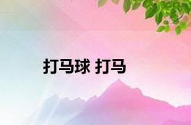 打马球 打马 