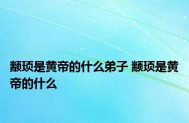 颛顼是黄帝的什么弟子 颛顼是黄帝的什么 