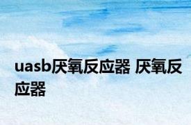 uasb厌氧反应器 厌氧反应器 