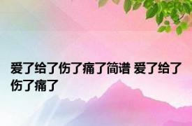 爱了给了伤了痛了简谱 爱了给了伤了痛了 