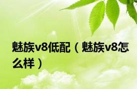 魅族v8低配（魅族v8怎么样）