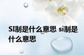 SI制是什么意思 si制是什么意思 