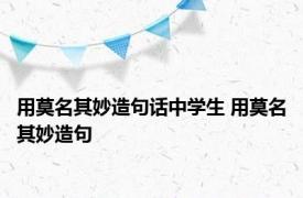 用莫名其妙造句话中学生 用莫名其妙造句 