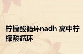 柠檬酸循环nadh 高中柠檬酸循环 