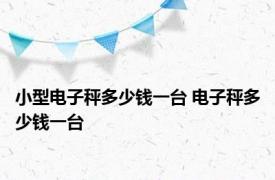 小型电子秤多少钱一台 电子秤多少钱一台 