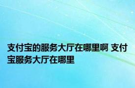 支付宝的服务大厅在哪里啊 支付宝服务大厅在哪里 