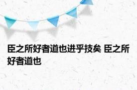 臣之所好者道也进乎技矣 臣之所好者道也 