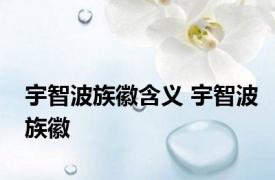 宇智波族徽含义 宇智波族徽 