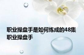 职业操盘手是如何炼成的48集 职业操盘手 