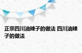 正宗四川油辣子的做法 四川油辣子的做法 