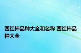 西红柿品种大全和名称 西红柿品种大全 